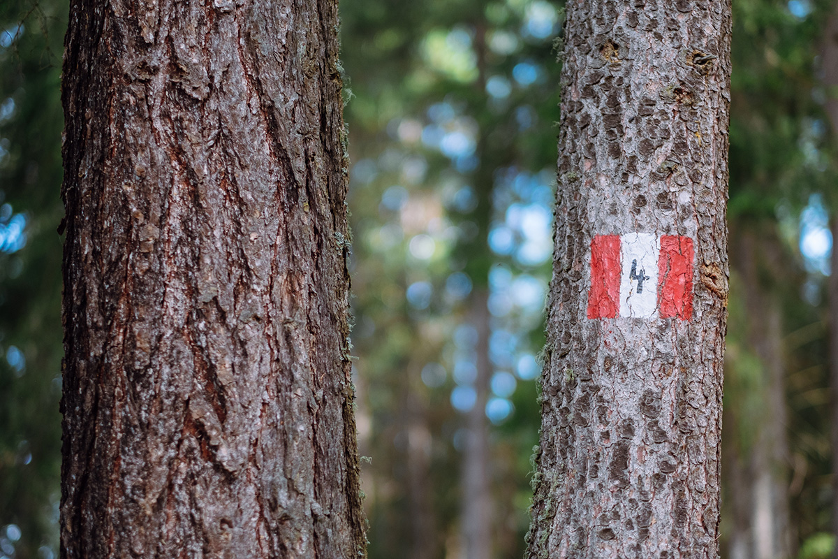 Ampia offerta di attività 