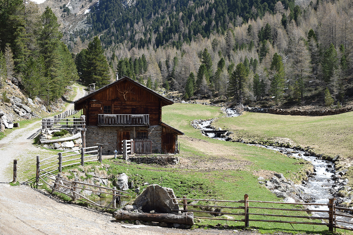 Alla Malga Huber nella Valle di Riomolino