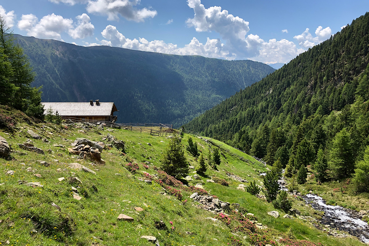 Escursione circolare alla Malga Winterstall e sulla Cima Bramstaller